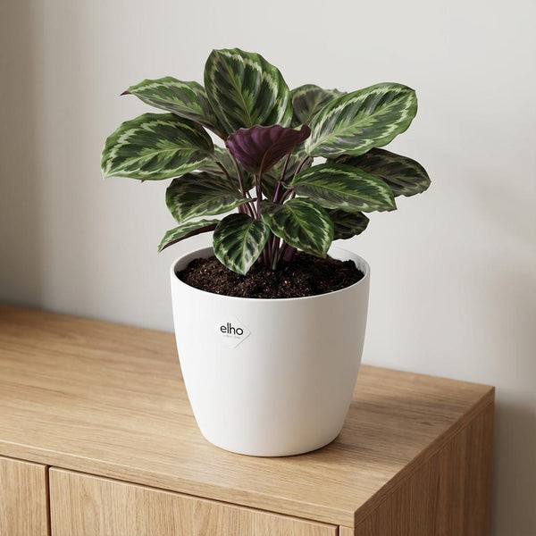 Pot Elho Brussels rond 18cm - wit - Ø18cm