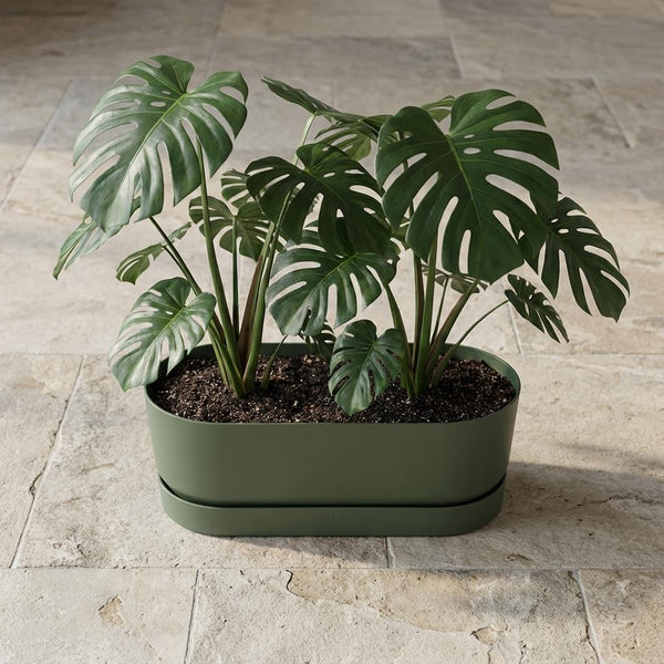 Pot Elho Greenville Easy Balcony - leaf green - Ø25cm