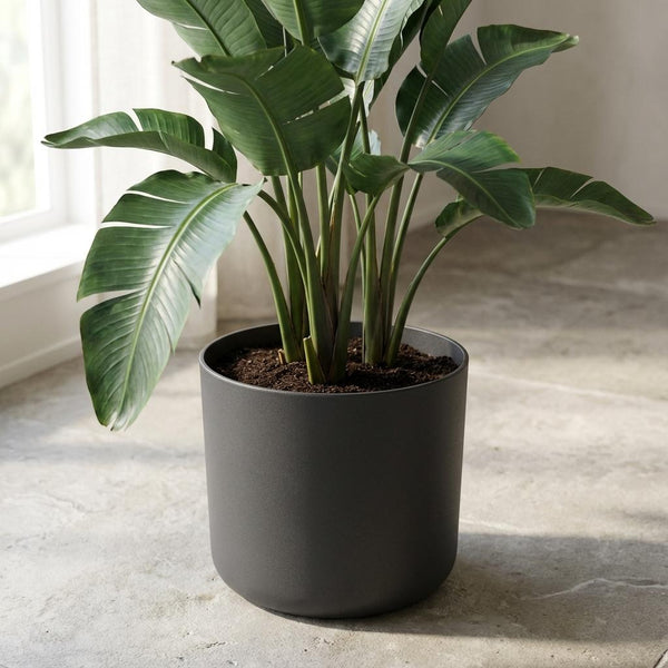 Pot Elho B.for soft - antraciet - Ø25cm