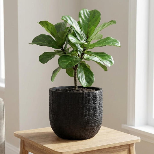 Pot Capi Nature Skin Bol - antraciet - Ø17cm