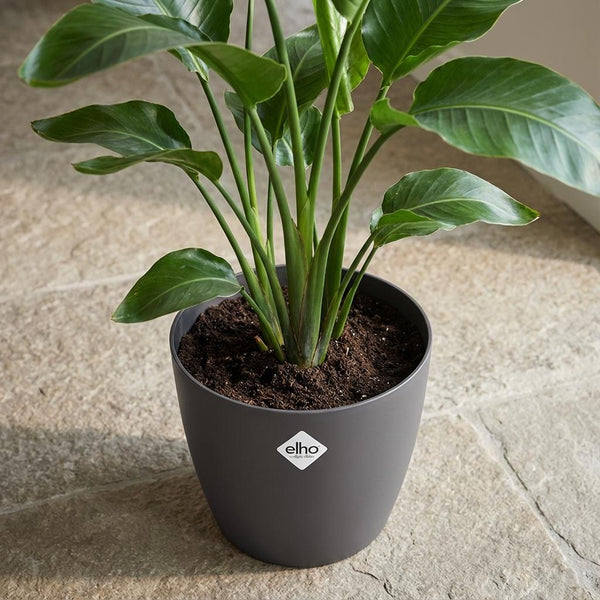 Pot Elho Brussels rond 18cm - antraciet - Ø18cm