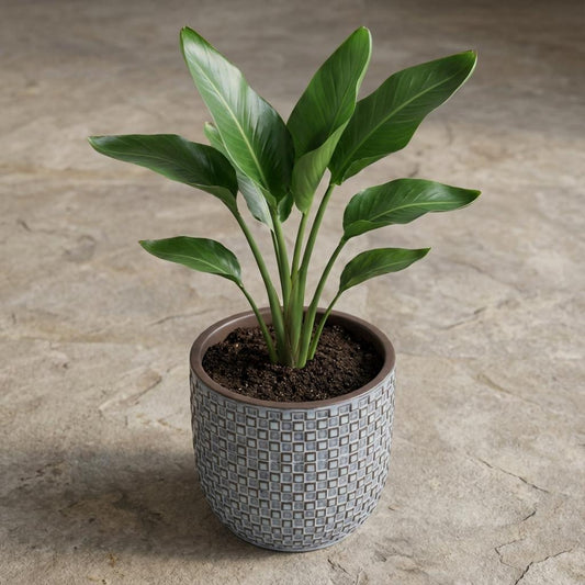 Pot Mini relief - blauw - Ø7cm
