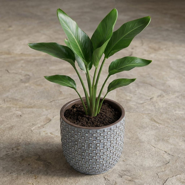 Pot Mini relief - blauw - Ø7cm
