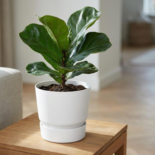 Pot Elho greenville round - white - Ø20cm