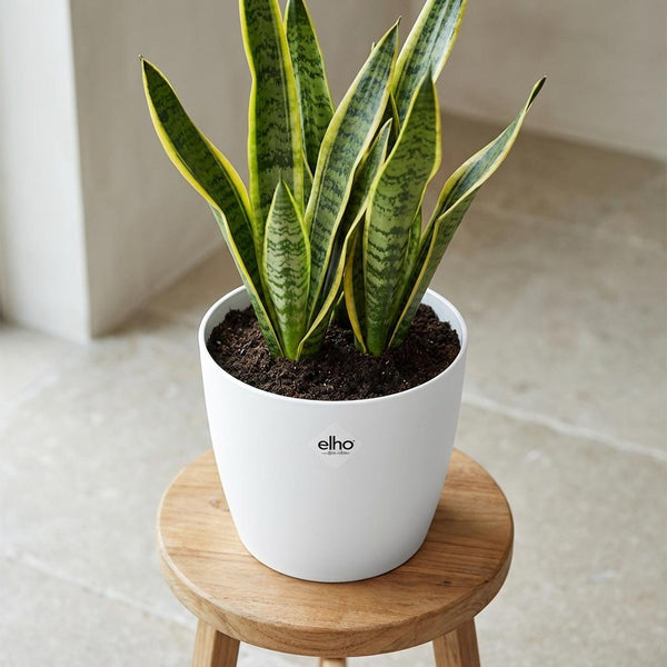 Pot Elho Brussels rond 18cm - wit - Ø18cm