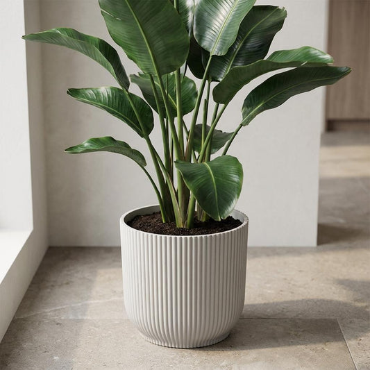 Pot Elho Vibes Fold 22cm - wit - Ø22cm