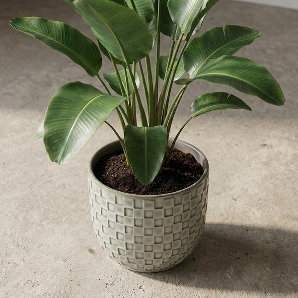 Pot Mini relief - wit - Ø7cm