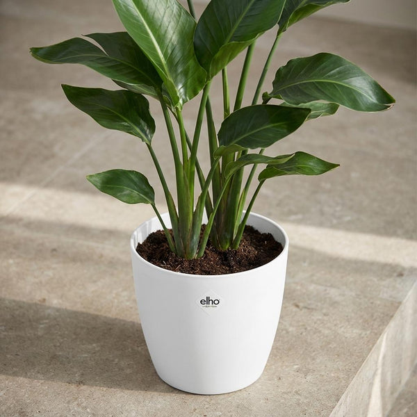 Pot Elho Brussels rond 25cm - wit - Ø25cm