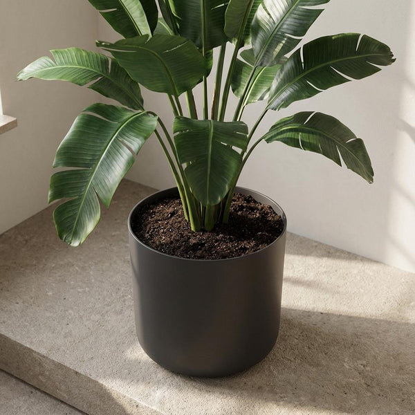 Pot Elho B.for soft - antraciet - Ø14cm