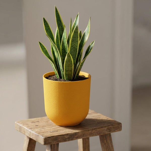 Pot Elho Jazz Round - amber yellow - Ø23cm