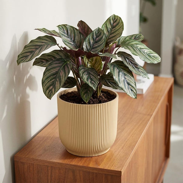 Pot Elho Vibes Fold 18cm - geel - Ø18cm