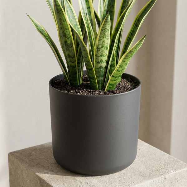 Pot Elho B.for soft - antraciet - Ø22cm