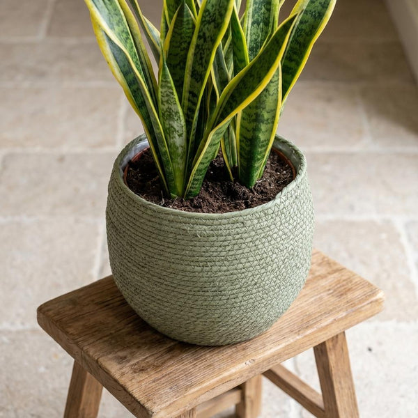 Mand Jorck - groen - Ø26cm
