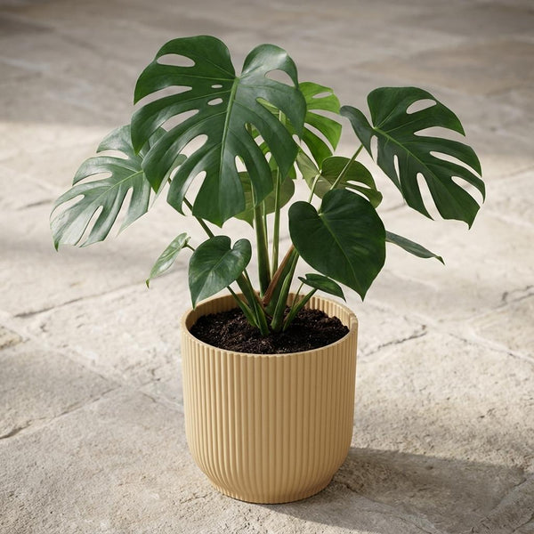 Pot Elho Vibes Fold 18cm - geel - Ø18cm
