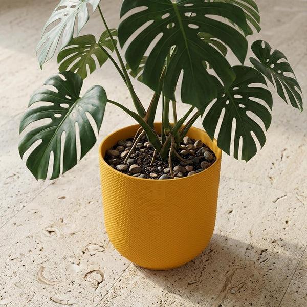 Pot Elho Jazz Round - amber yellow - Ø23cm
