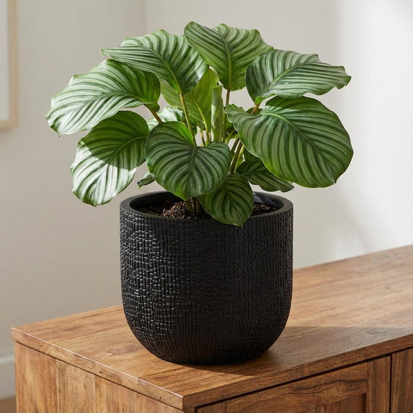 Pot Capi Nature Skin Bol - antraciet - Ø24cm