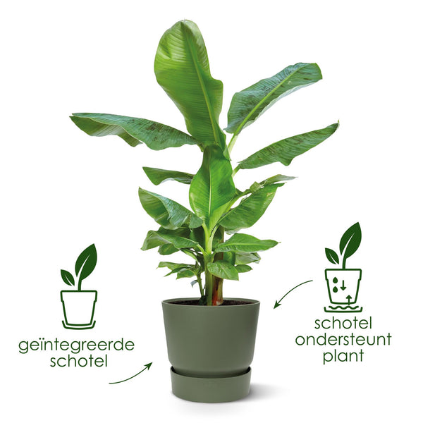 Pot Elho Greenville Round - wit - Ø30cm - ↕28cm
