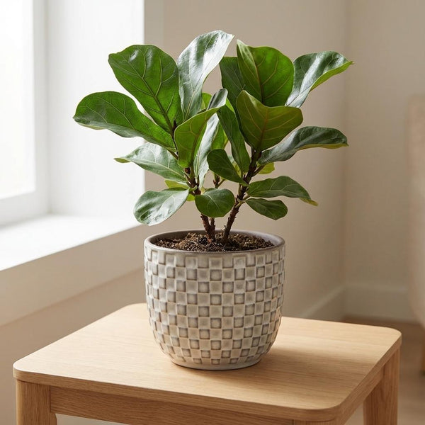 Pot Mini relief - wit - Ø7cm