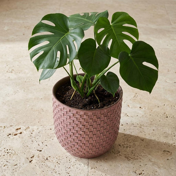 Pot Mini relief - roze - Ø7cm
