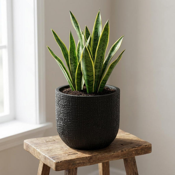 Pot Capi Nature Skin Bol - antraciet - Ø14cm