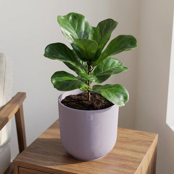 Pot Elho Jazz Round - lavender lilac - Ø23cm
