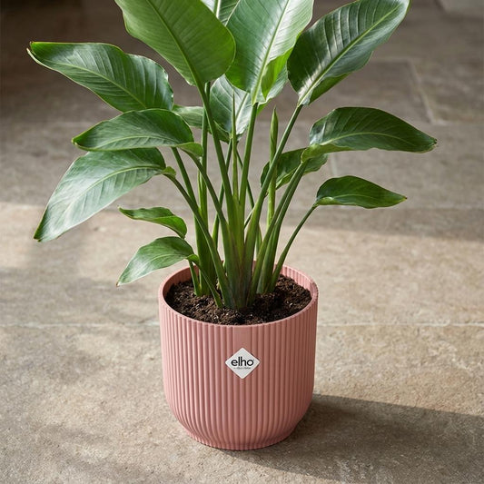 Pot Elho Vibes Fold 14cm - roze - Ø14cm