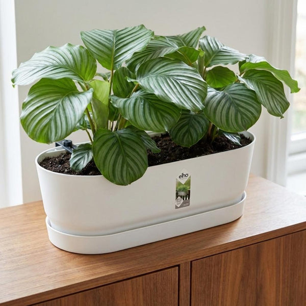 Pot Elho Greenville Easy Balcony - wit - Ø25cm